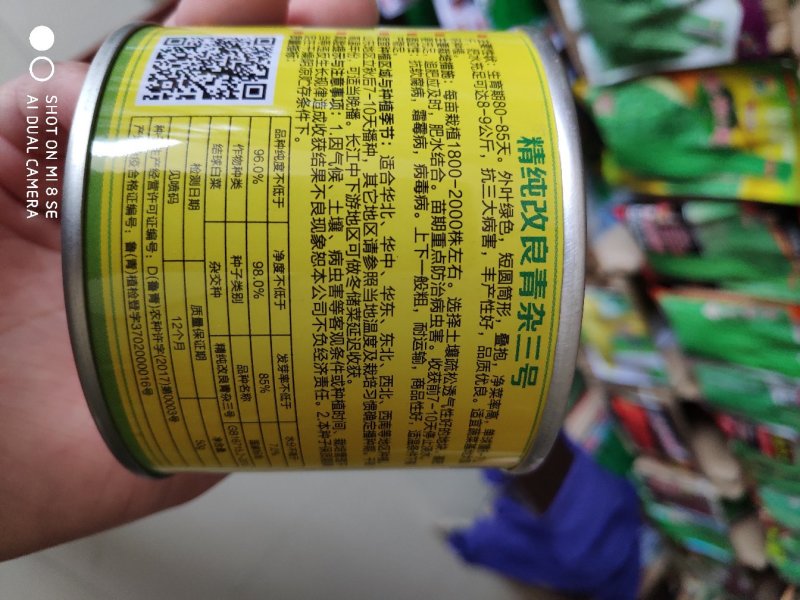 大白菜种精纯改良青杂三号大白菜种子