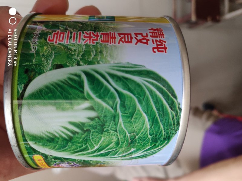 大白菜种精纯改良青杂三号大白菜种子