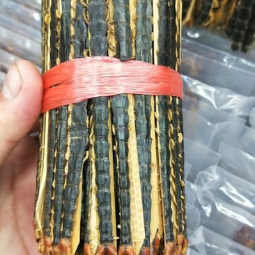 包邮包含量蜈蚣湖北红头蜈蚣无接条无断支