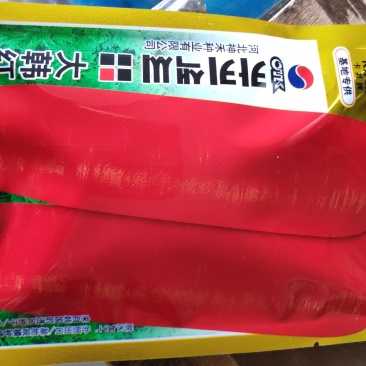 胡萝卜种子(大韩红秀胡萝卜种子