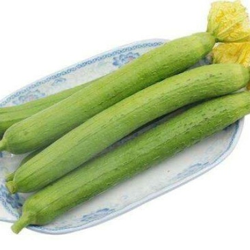 丝瓜