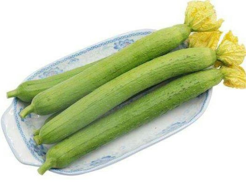丝瓜