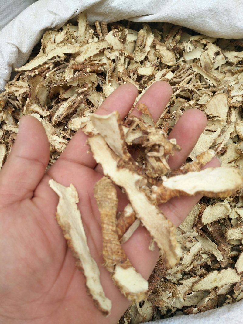 知母片优质精选批发零售长期供货