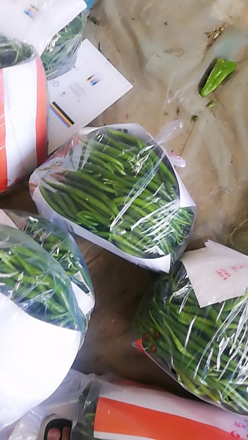 精品直销超市，欢迎预订诚信代收质优价廉！！！