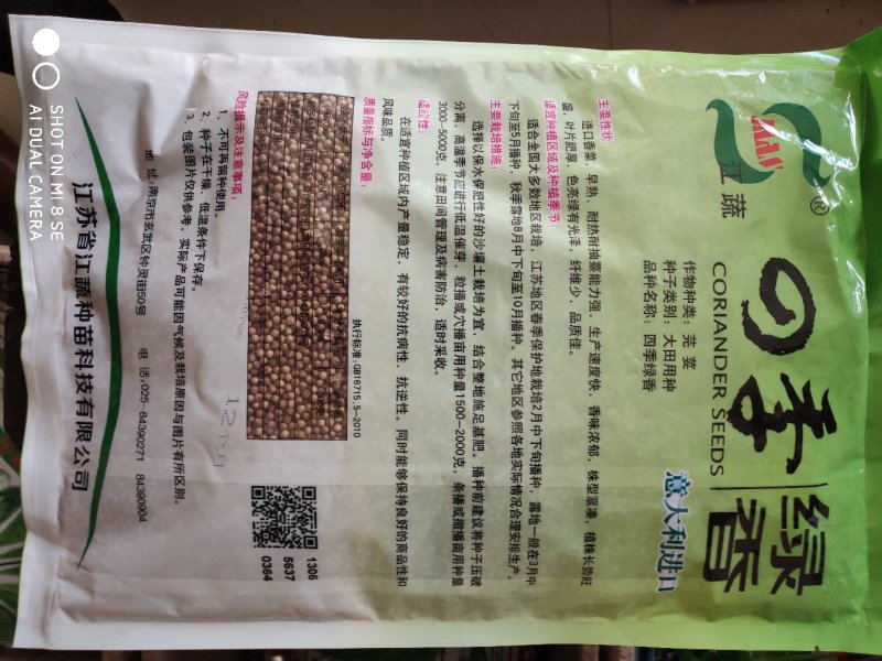 香菜种子(意大利进口香菜种子)