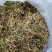 纯天然野生金银花，二花，忍冬