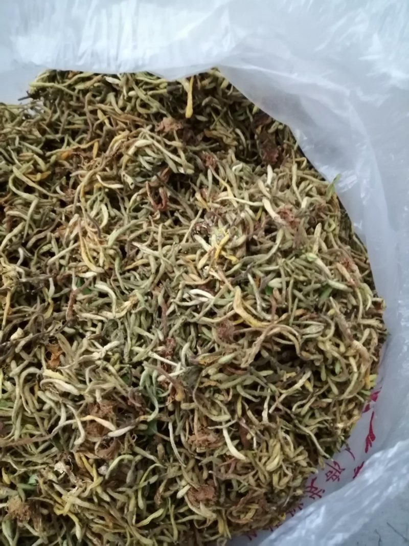 纯天然野生金银花，二花，忍冬