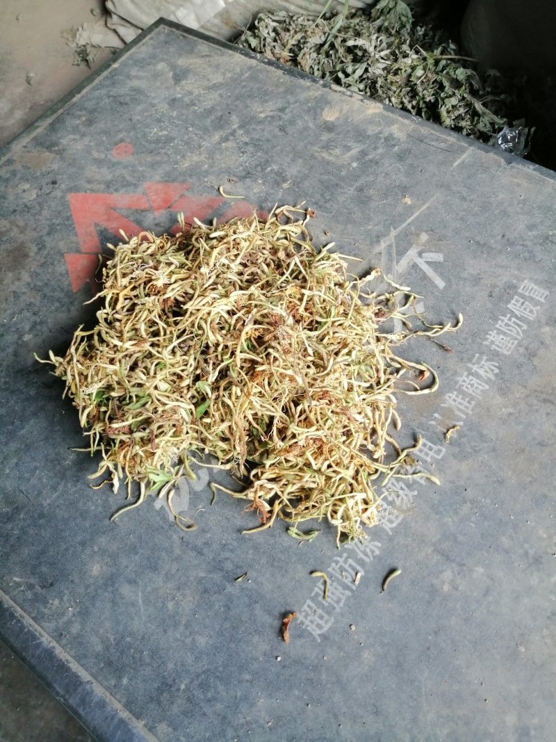 纯天然野生金银花，二花，忍冬