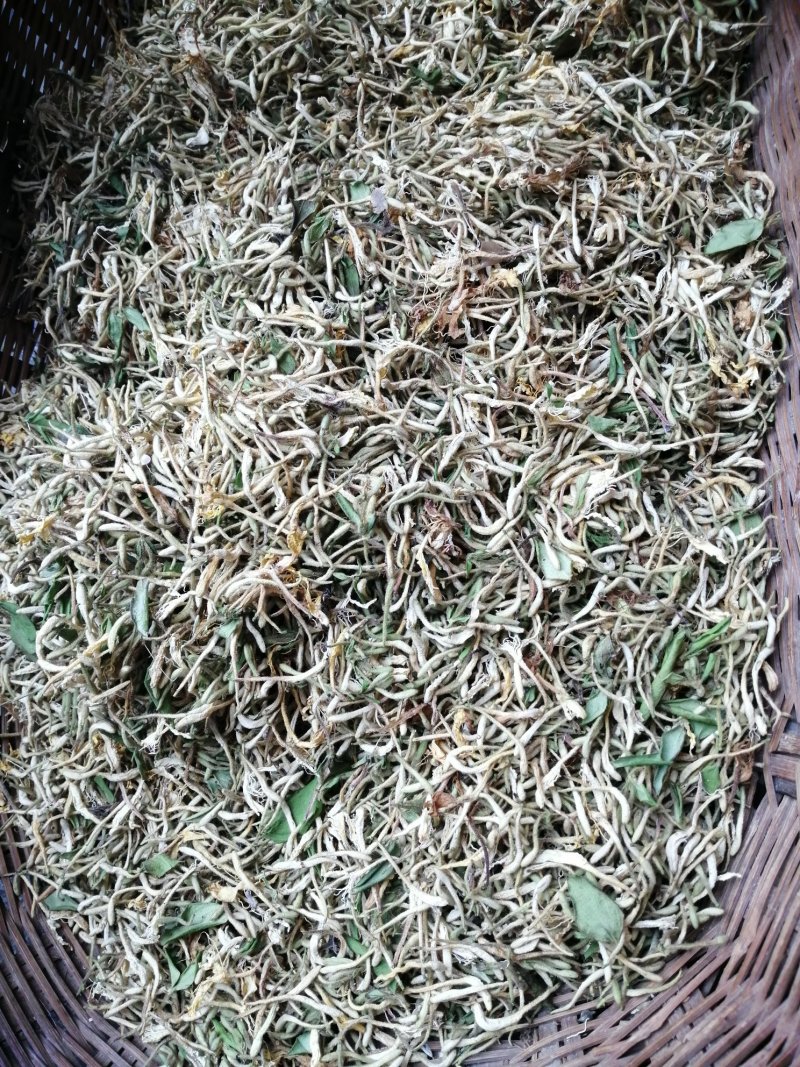 纯天然野生金银花，二花，忍冬