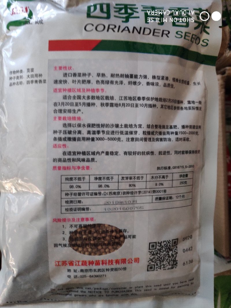 香菜种子(四季青香菜种子)