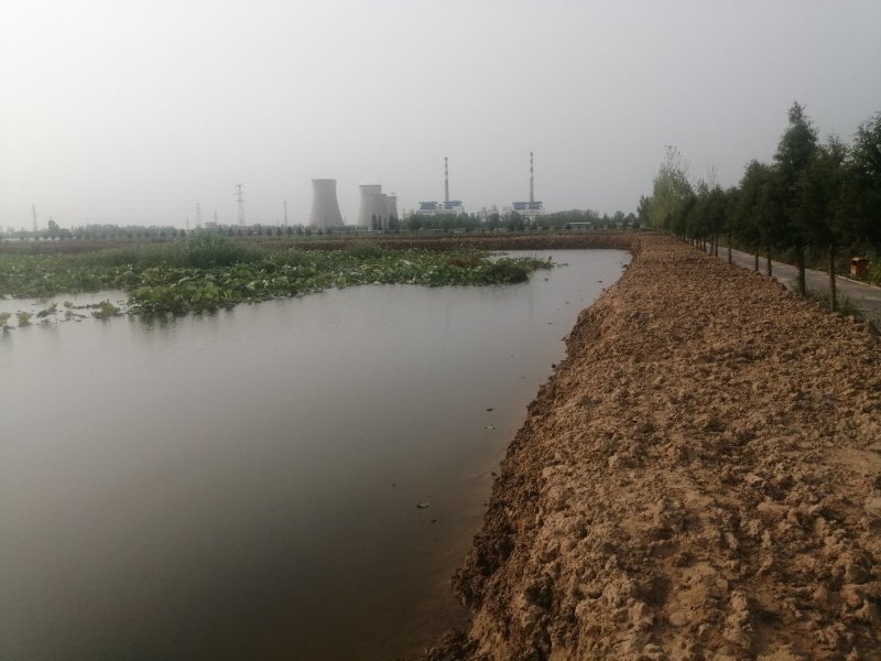 大量出售各规格小龙虾，千亩龙虾塘，欢迎实地考察