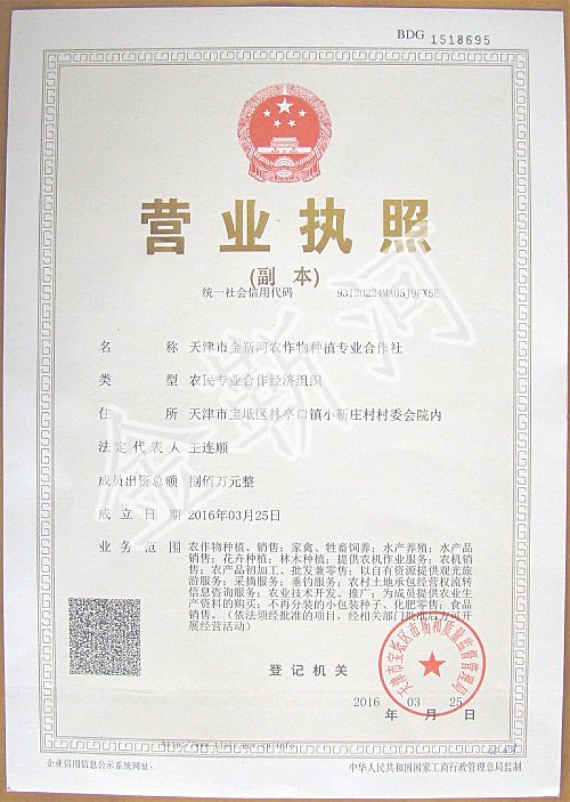 天津宝坻林亭口六瓣红大蒜红蒜紫蒜干蒜种蒜蒜种