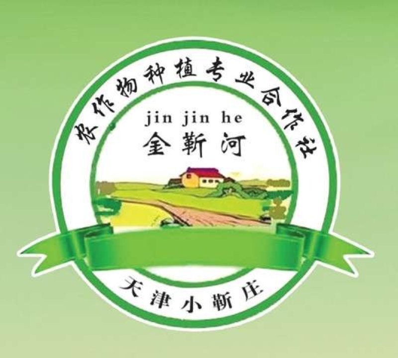 天津宝坻林亭口六瓣红大蒜红蒜紫蒜干蒜种蒜蒜种