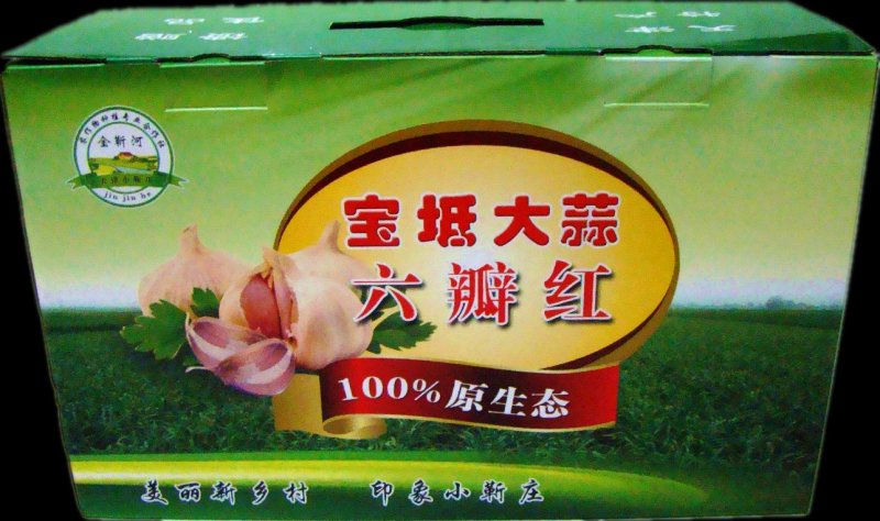 天津宝坻林亭口六瓣红大蒜红蒜紫蒜干蒜种蒜蒜种