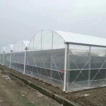 温室连栋大棚连栋大棚大棚配件大棚骨架大棚管大棚