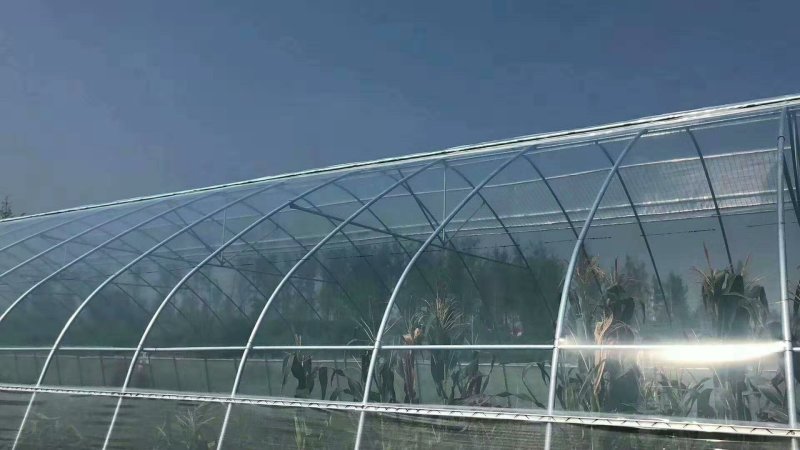 蔬菜温室专用po薄膜（基地专供）