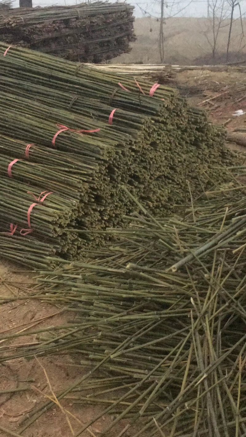 竹竿销售，竹片，竹尖，菜架杆，山药竿，豆角架，西红柿架等