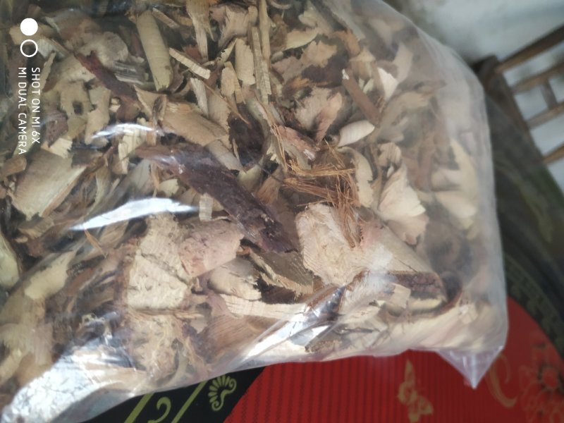 金樱根片