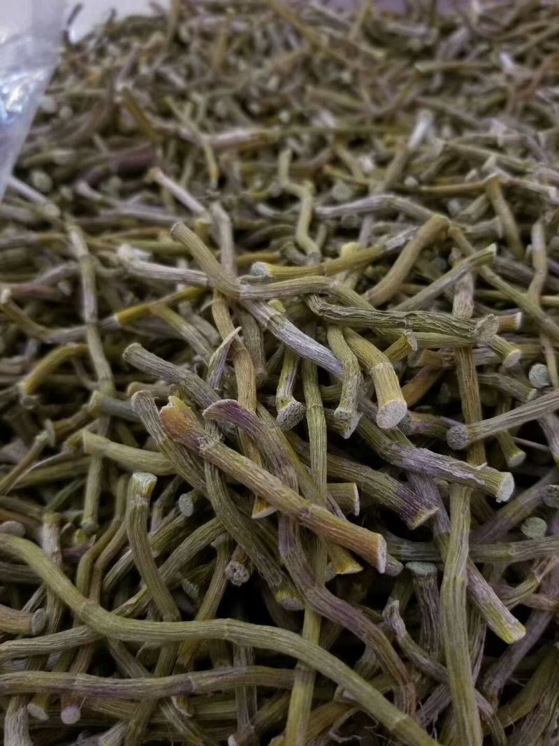 铁皮石斛