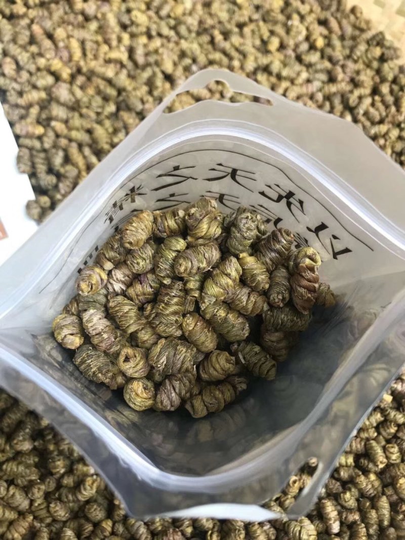 铁皮石斛