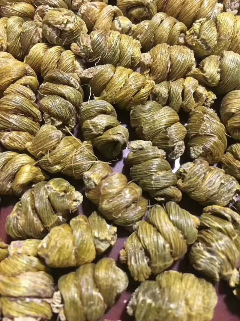 铁皮石斛