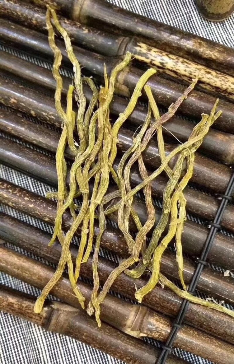 铁皮石斛