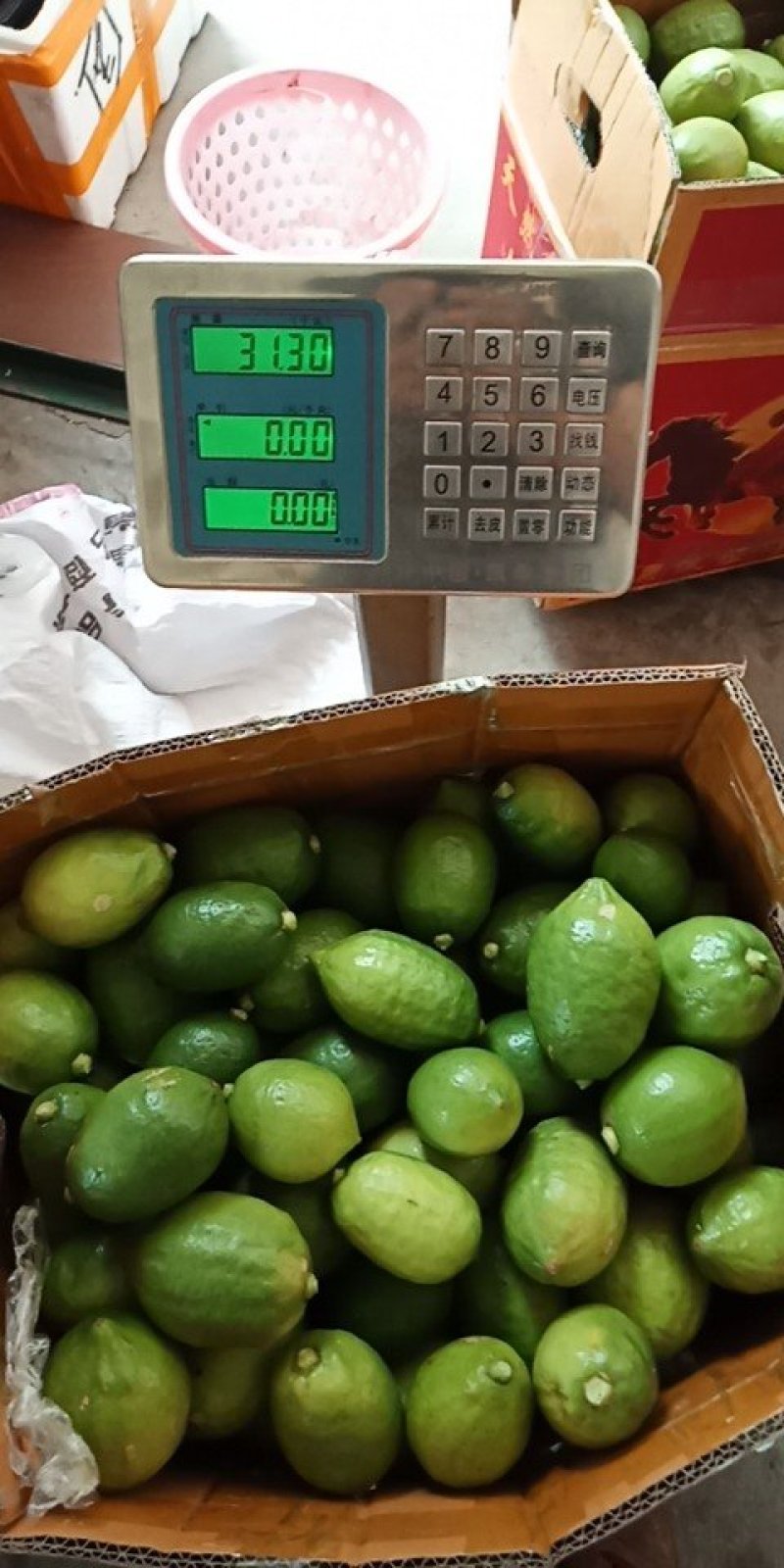 香水柠檬