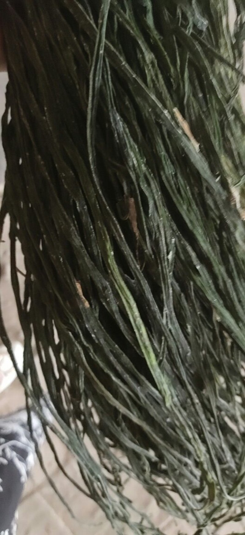 优质豆角，