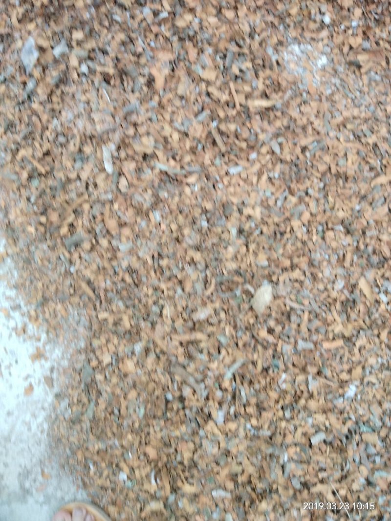 桂皮