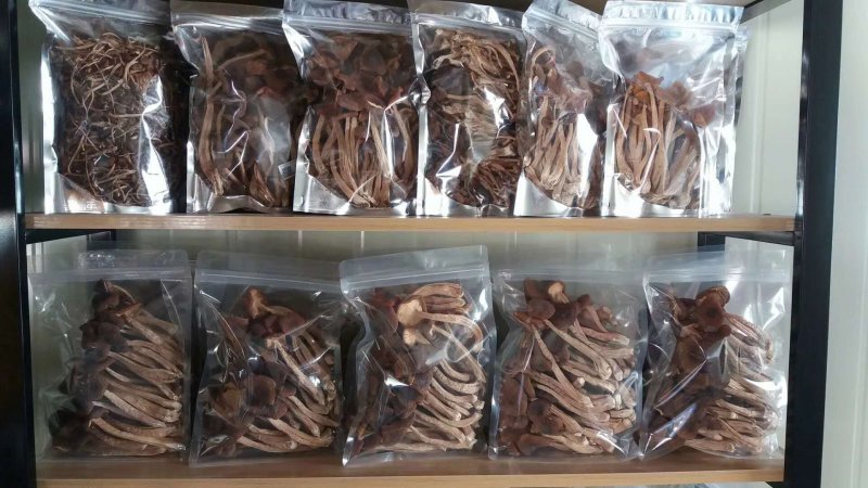 【精品】福建茶树菇产地直销口感好价格低全国发货批发零售