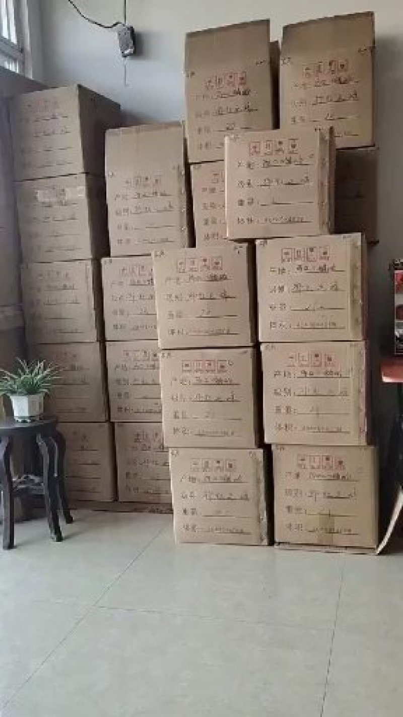核心产区祁门红茶2025一级雨前祁门红茶祁红毛峰系列