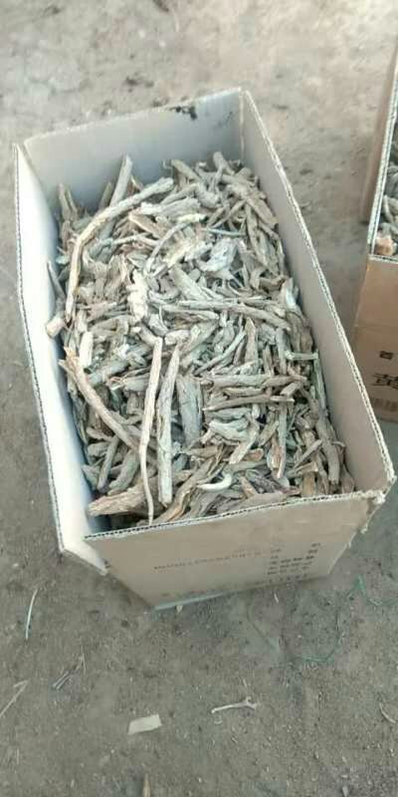 地骨皮