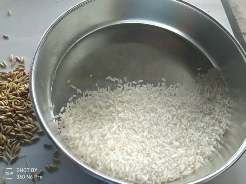 稻谷