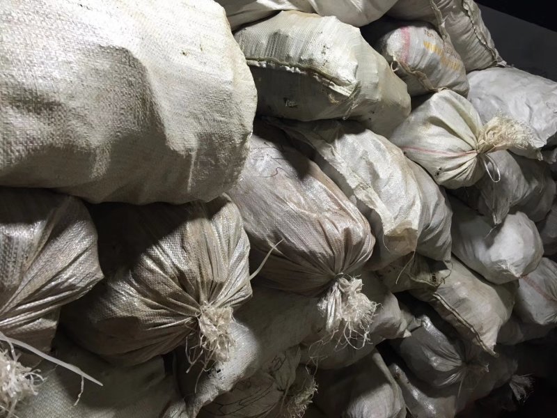 俄罗斯新西伯利亚桦树茸白桦茸原装进口