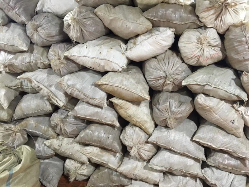 俄罗斯新西伯利亚桦树茸白桦茸原装进口