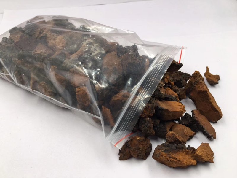 俄罗斯进口桦树茸白桦茸高密度小块