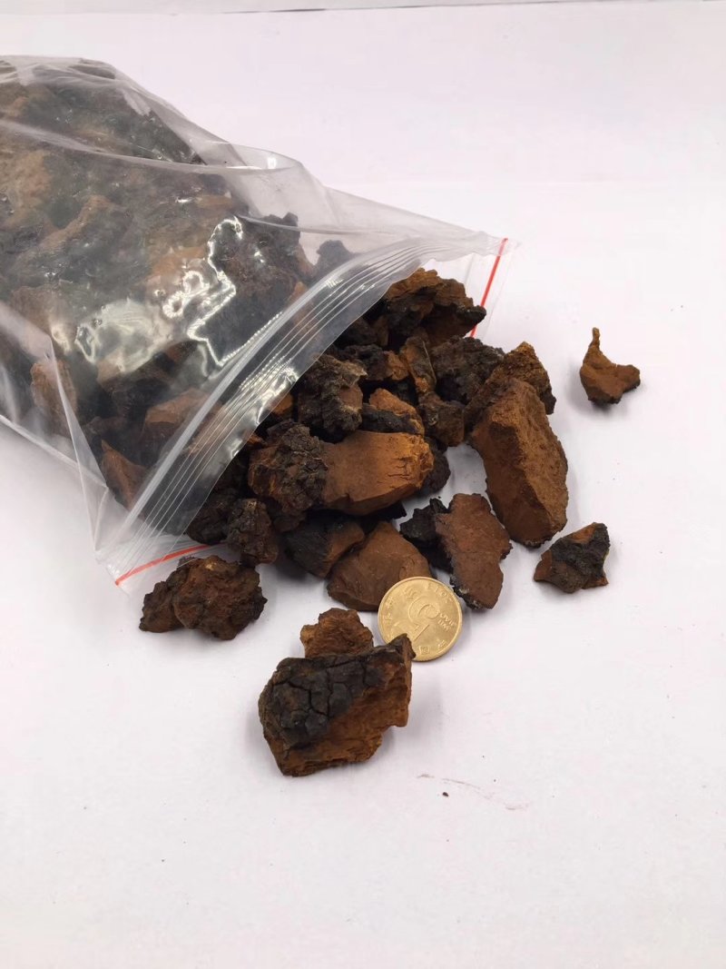 俄罗斯进口桦树茸白桦茸高密度小块