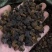 俄罗斯进口桦树茸白桦茸高密度小块