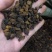 俄罗斯进口桦树茸白桦茸高密度小块