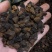 俄罗斯进口桦树茸白桦茸高密度小块