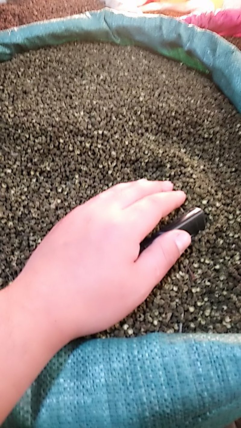 麻椒