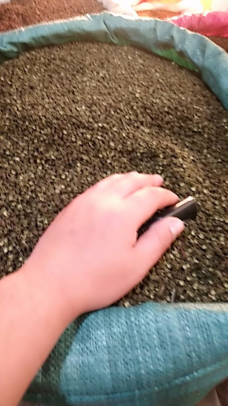 麻椒