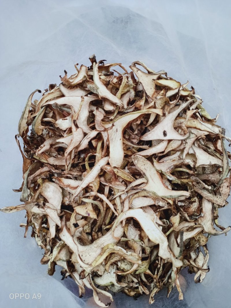 剥皮菇
