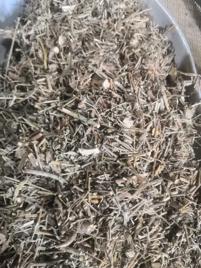 香茹草