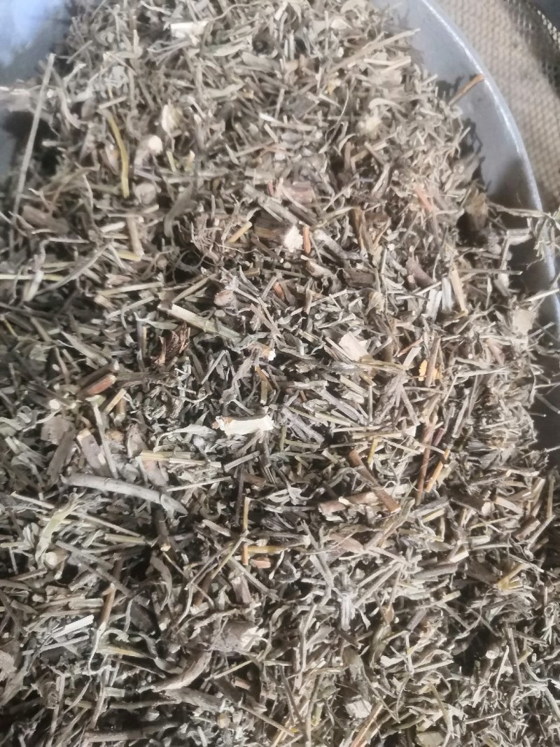 香茹草