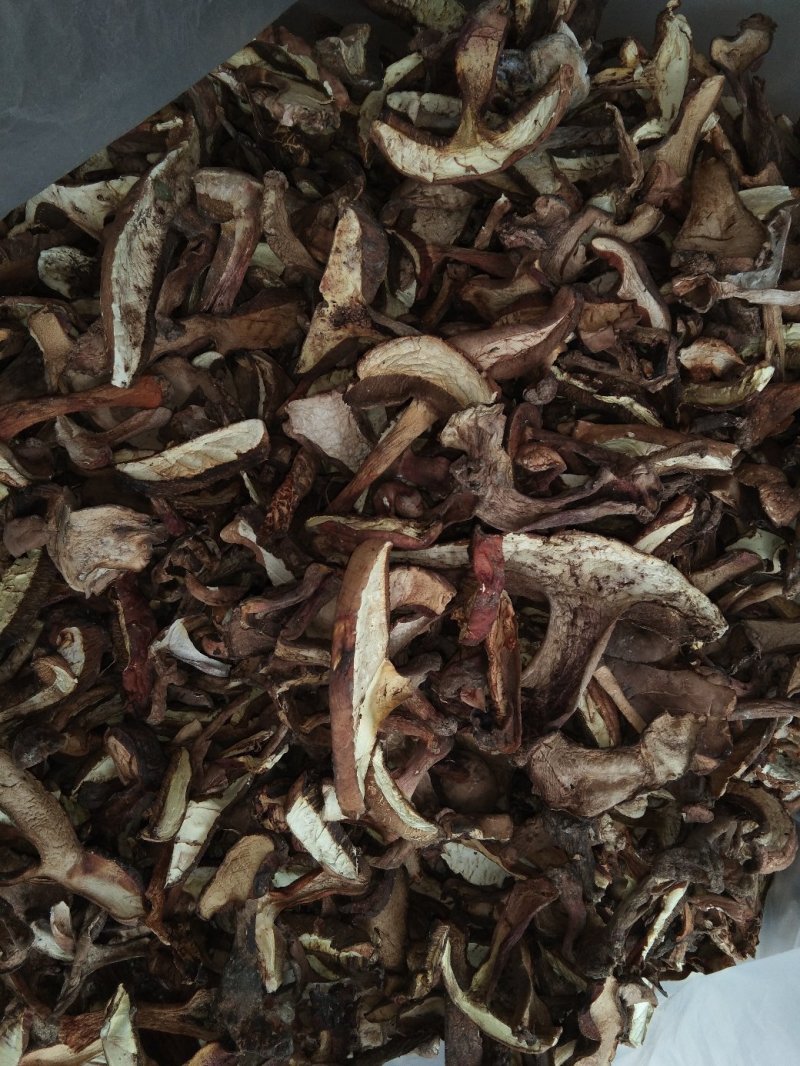 食用菌干货