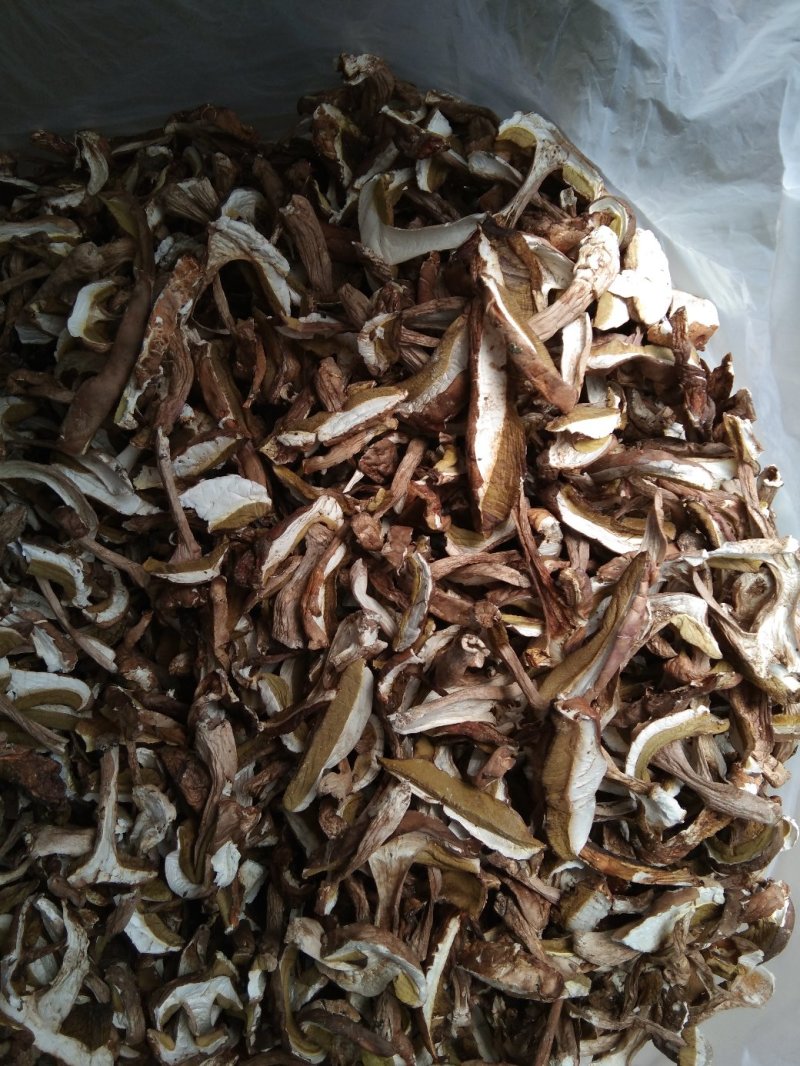 食用菌干货