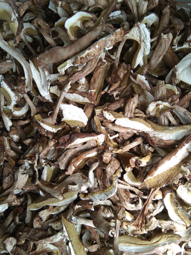食用菌干货