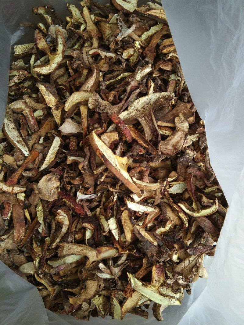 食用菌干货