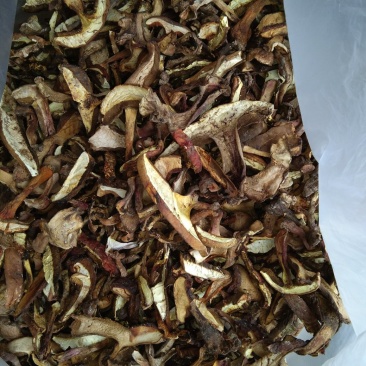 食用菌干货
